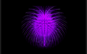 Zvláštní květina